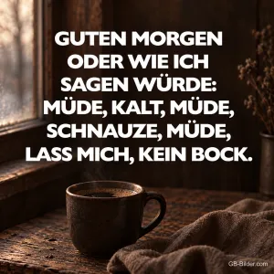 Dunkle Kaffeetasse am regnerischen Fenster, Text: GUTEN MORGEN ODER WIE ICH SAGEN WÜRDE: MÜDE, KALT, MÜDE, SCHNAUZE, MÜDE, LASS MICH, KEIN BOCK.