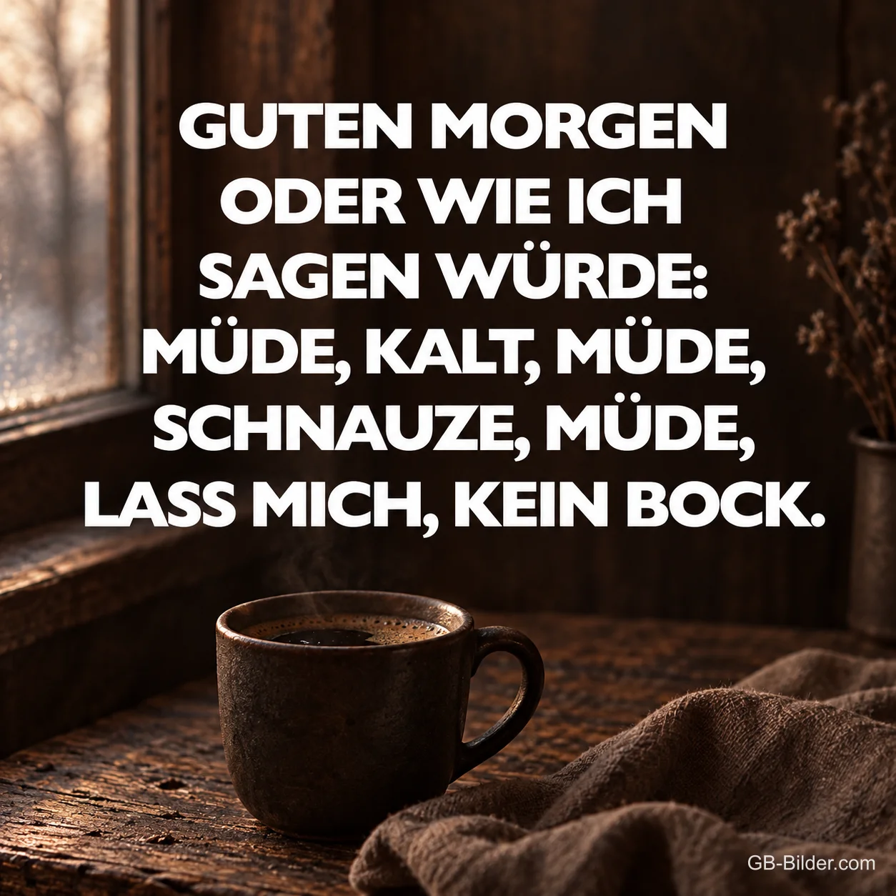 Dunkle Kaffeetasse am regnerischen Fenster, Text: GUTEN MORGEN ODER WIE ICH SAGEN WÜRDE: MÜDE, KALT, MÜDE, SCHNAUZE, MÜDE, LASS MICH, KEIN BOCK.