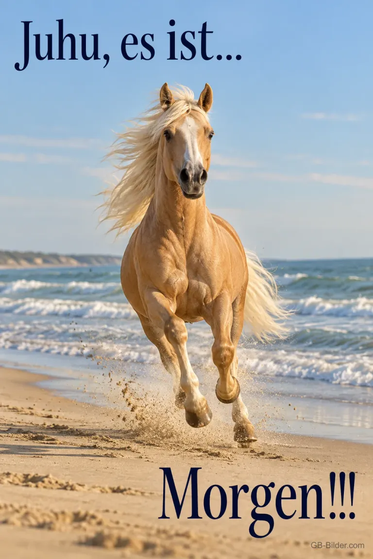 Palomino galoppiert am Strand, Text: Juhu, es ist… Morgen!!!