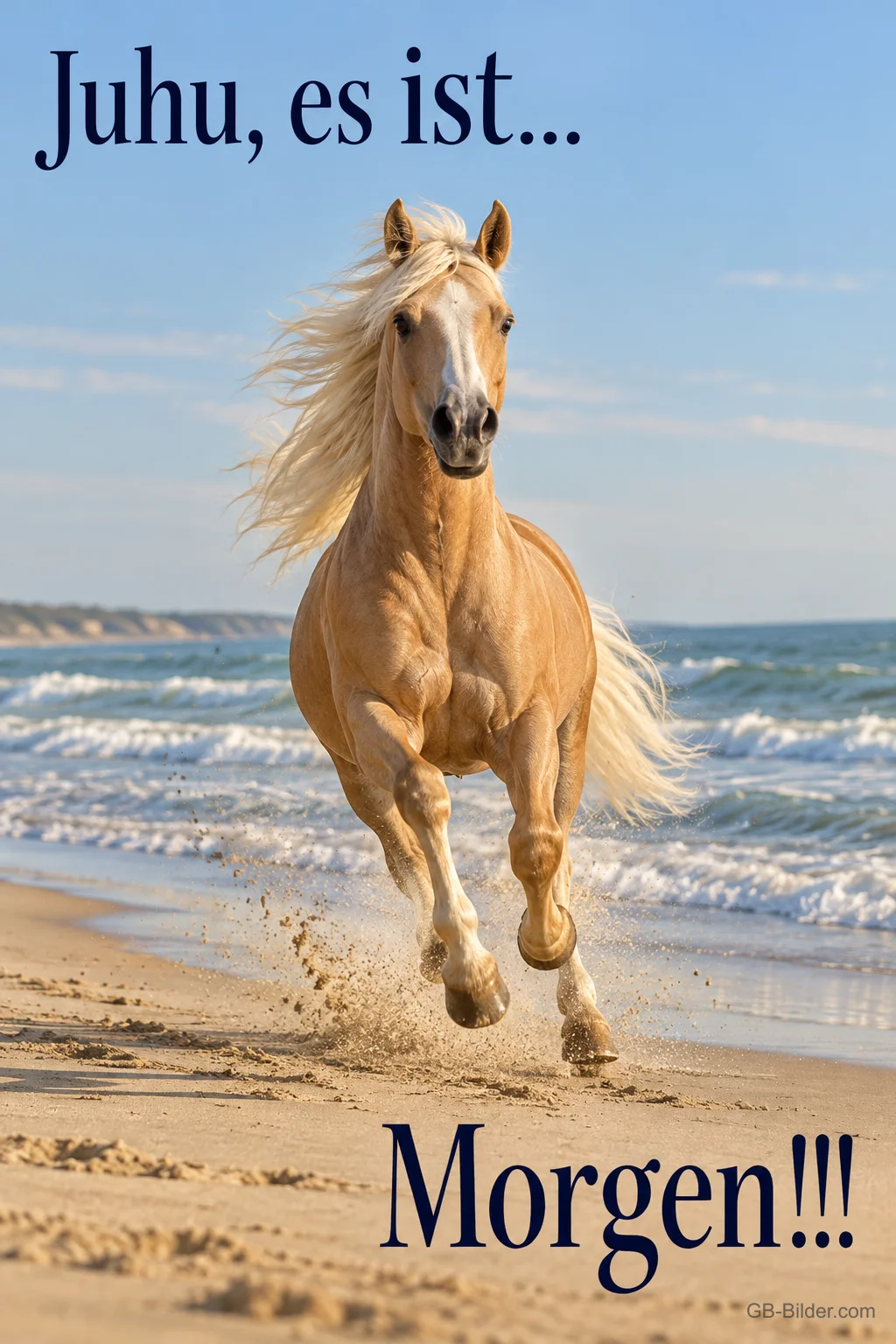 Palomino galoppiert am Strand, Text: Juhu, es ist… Morgen!!!