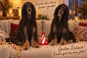 Zwei Afghanen sitzen auf dem Sofa mit Partyhut, Text: Danke für deine lieben Grüße! – Guten Rutsch! Komm gut ins neue Jahr!