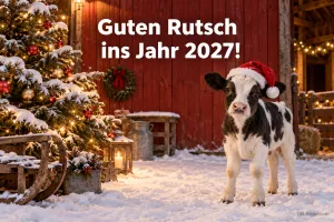 Kalb mit Weihnachtsmütze vor einer verschneiten Scheune, Text: Guten Rutsch ins Jahr 2027!