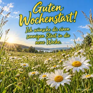 Margeriten auf einer sonnigen Sommerwiese, Text: Guten Wochenstart! – Ich wünsche dir einen sonnigen Start in die neue Woche.