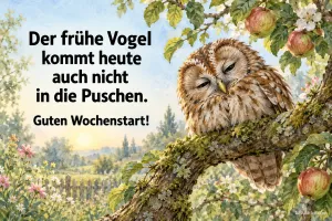 Verschlafener Waldkauz auf einem Apfelbaumast, Text: Der frühe Vogel kommt heute auch nicht in die Puschen. – Guten Wochenstart!