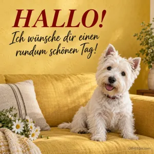 West Highland Terrier auf einem gelben Sofa, Text: Hallo! Ich wünsche dir einen rundum schönen Tag!