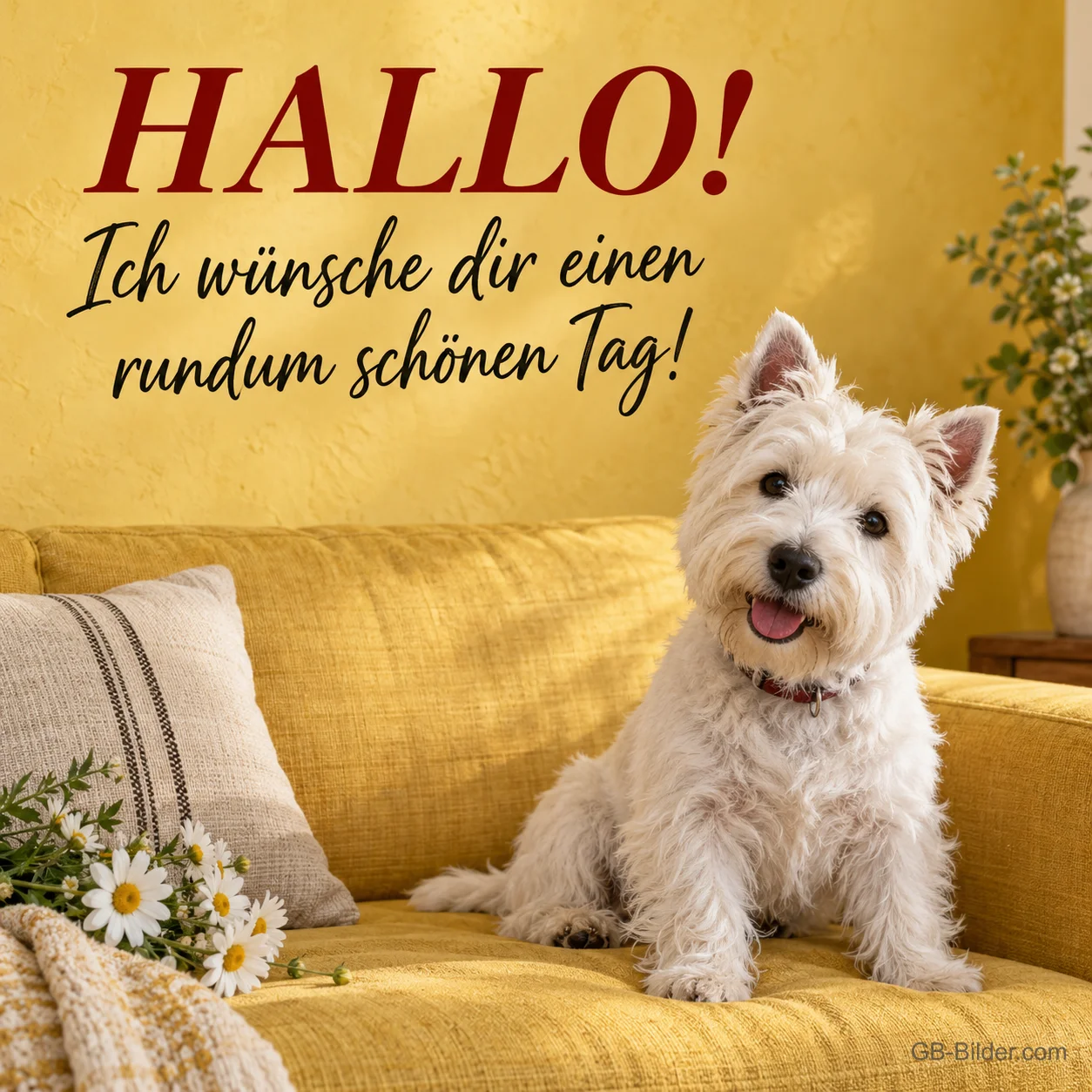 West Highland Terrier auf einem gelben Sofa, Text: Hallo! Ich wünsche dir einen rundum schönen Tag! West Highland Terrier auf einem gelben Sofa, Text: Hallo! Ich wünsche dir einen rundum schönen Tag!