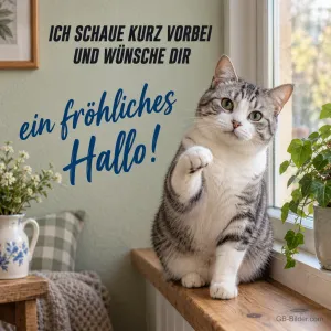 Winkende getigerte Katze am Fenster, Text: Ich schaue kurz vorbei und wünsche dir ein fröhliches Hallo!
