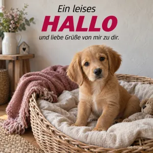 Welpe in einem Weidenkorb, Text: Ein leises Hallo und liebe Grüße von mir zu dir.