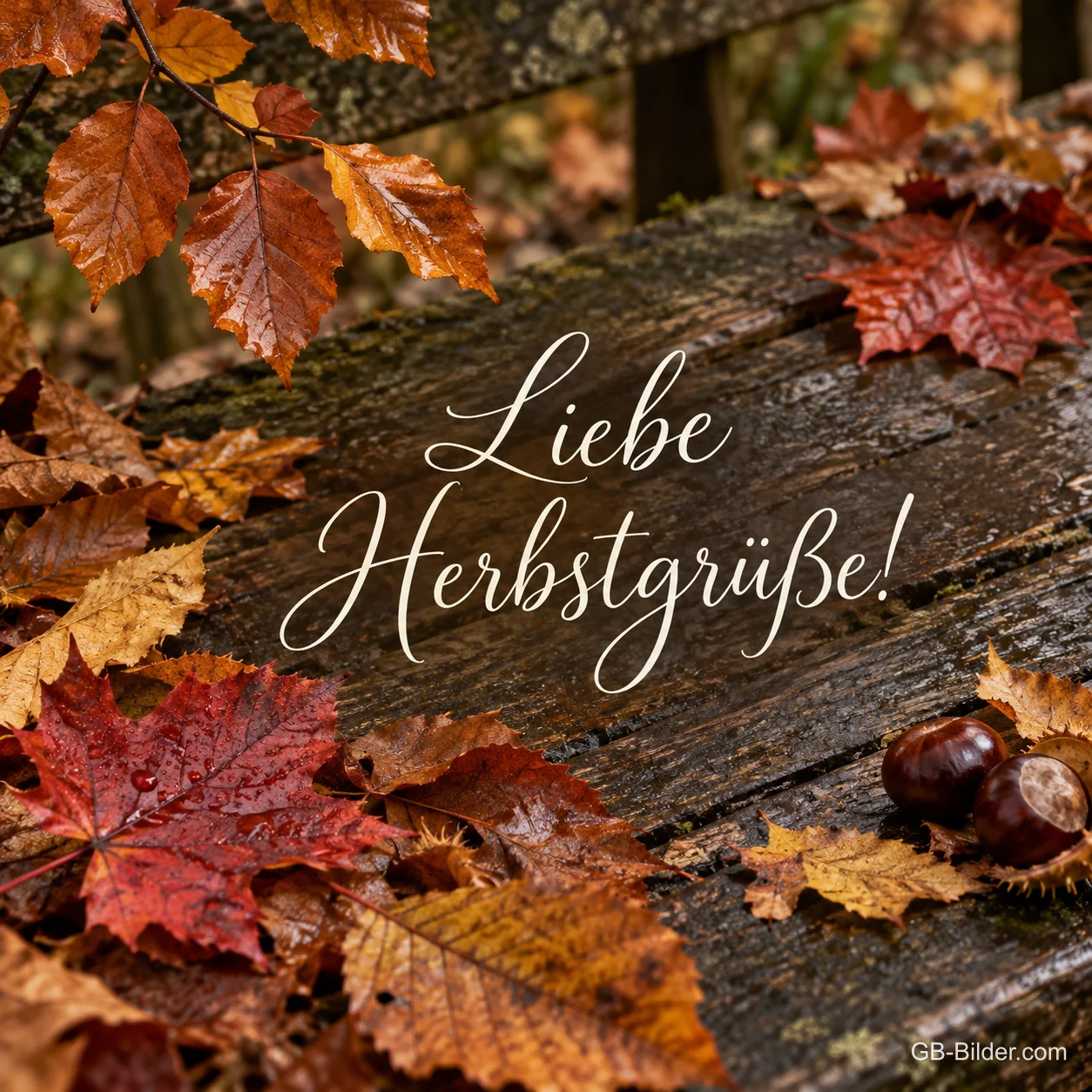 Rote und braune Herbstblätter mit Kastanien auf einer alten Holzbank, Text: Liebe Herbstgrüße! Rote und braune Herbstblätter mit Kastanien auf einer alten Holzbank, Text: Liebe Herbstgrüße!