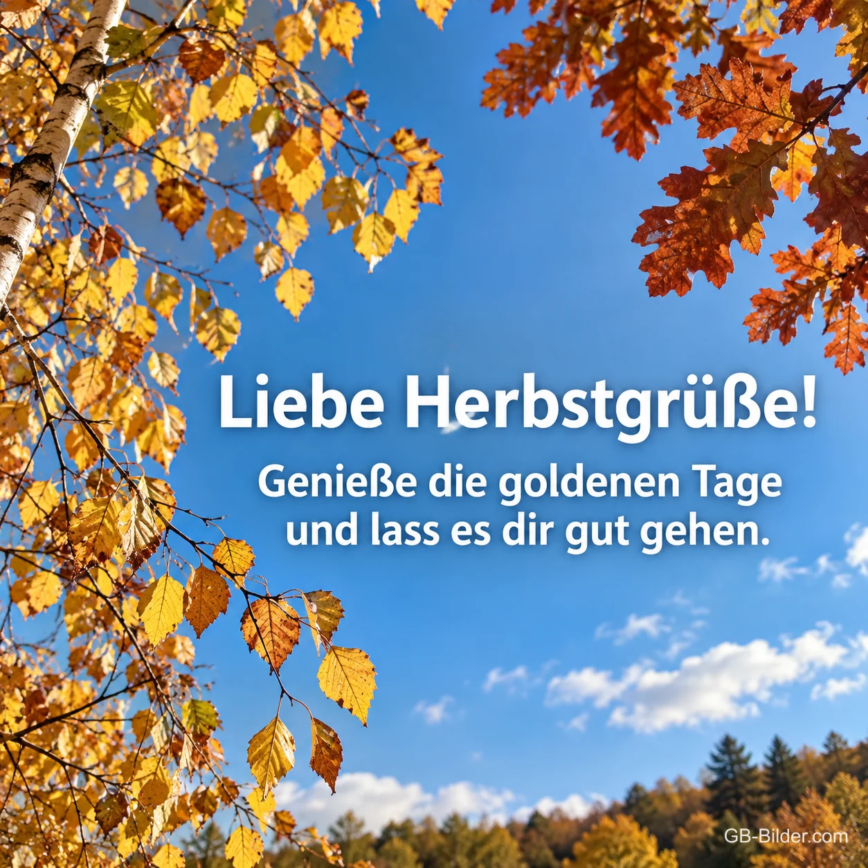 Goldene Herbstblätter vor blauem Himmel, Text: Liebe Herbstgrüße! Genieße die goldenen Tage und lass es dir gut gehen. Goldene Herbstblätter vor blauem Himmel, Text: Liebe Herbstgrüße! Genieße die goldenen Tage und lass es dir gut gehen.