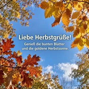 Buntes Herbstlaub vor blauem Himmel, Text: Liebe Herbstgrüße! Genieß die bunten Blätter und die goldene Herbstsonne.