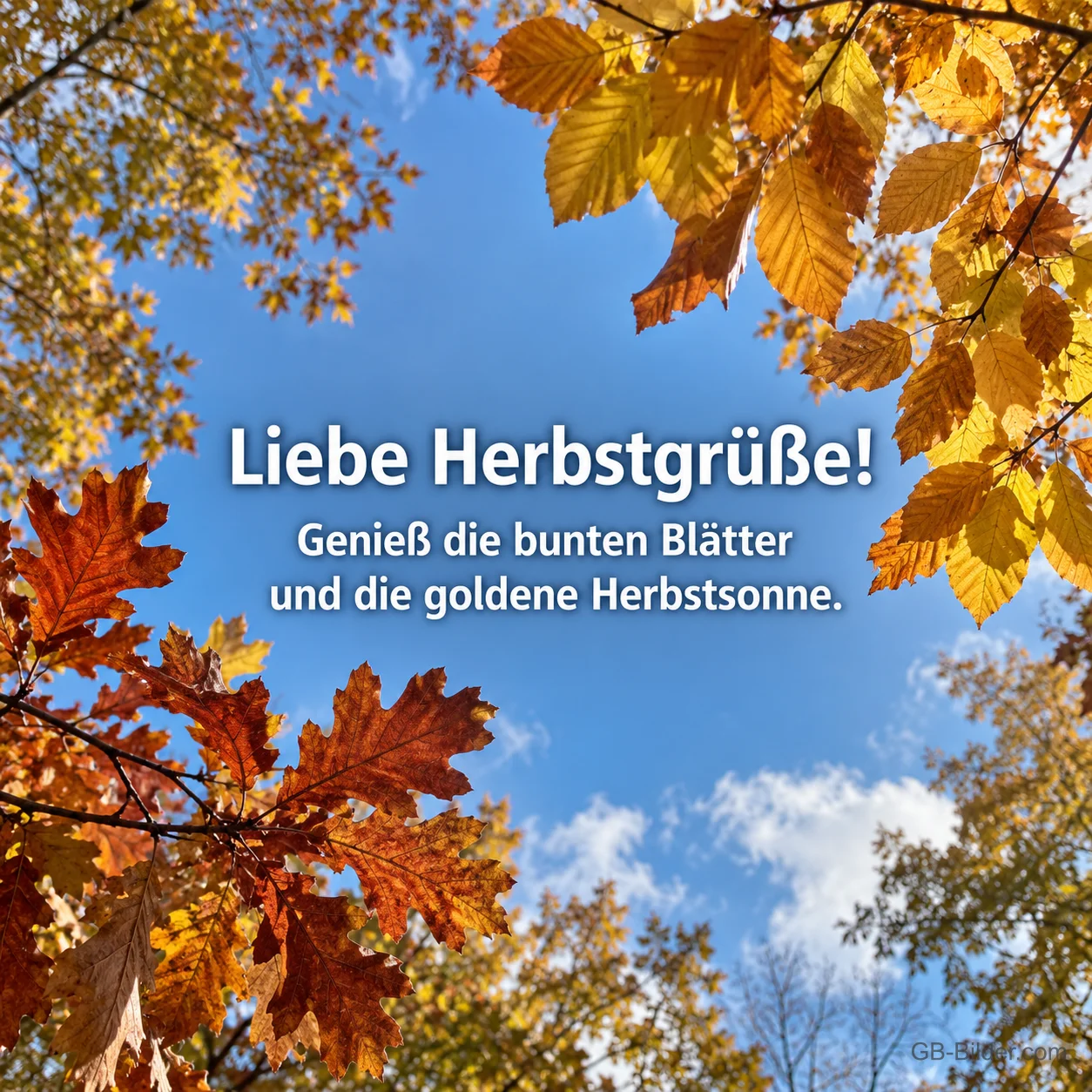 Buntes Herbstlaub vor blauem Himmel, Text: Liebe Herbstgrüße! Genieß die bunten Blätter und die goldene Herbstsonne. Buntes Herbstlaub vor blauem Himmel, Text: Liebe Herbstgrüße! Genieß die bunten Blätter und die goldene Herbstsonne.