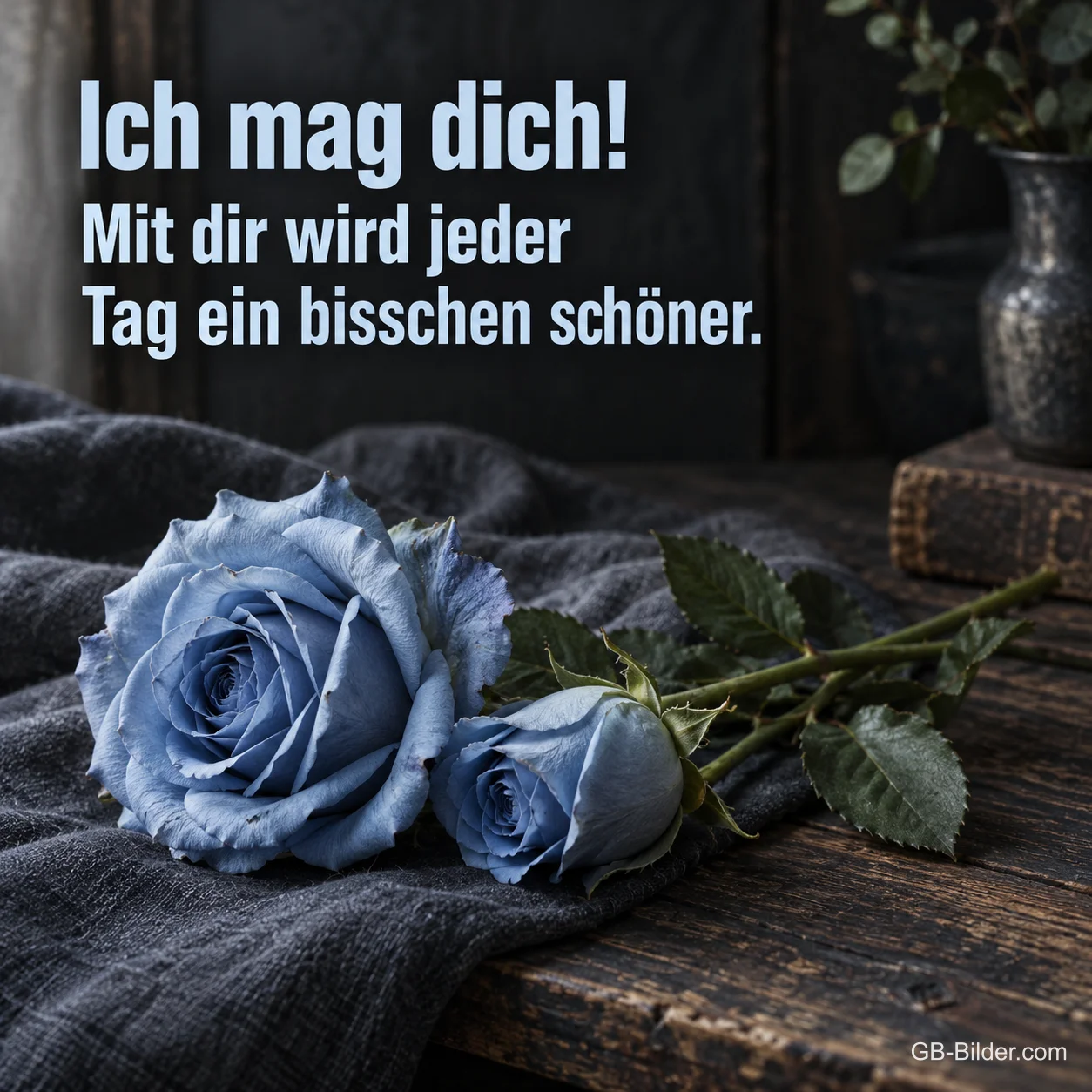 Zwei blaue Rosen auf dunklem Tuch, Text: Ich mag dich! Zwei blaue Rosen auf dunklem Tuch, Text: Ich mag dich!