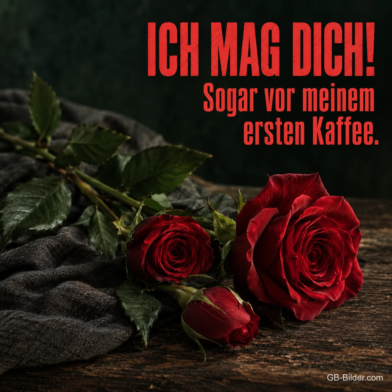 Rote Rosen auf dunklem Stoff, Text: Ich mag dich! Sogar vor meinem ersten Kaffee. Rote Rosen auf dunklem Stoff, Text: Ich mag dich! Sogar vor meinem ersten Kaffee.