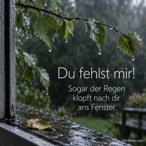 Regentropfen an Blättern am Fenster, Text: Du fehlst mir! Sogar der Regen klopft nach dir ans Fenster.