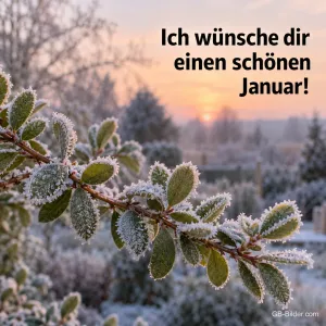 Bereifte Blätter im Morgenlicht, Text: Ich wünsche dir einen schönen Januar!