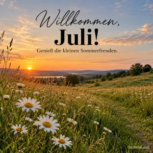 Margeritenwiese im Sonnenuntergang, Text: Willkommen, Juli! Genieß die kleinen Sommerfreuden.