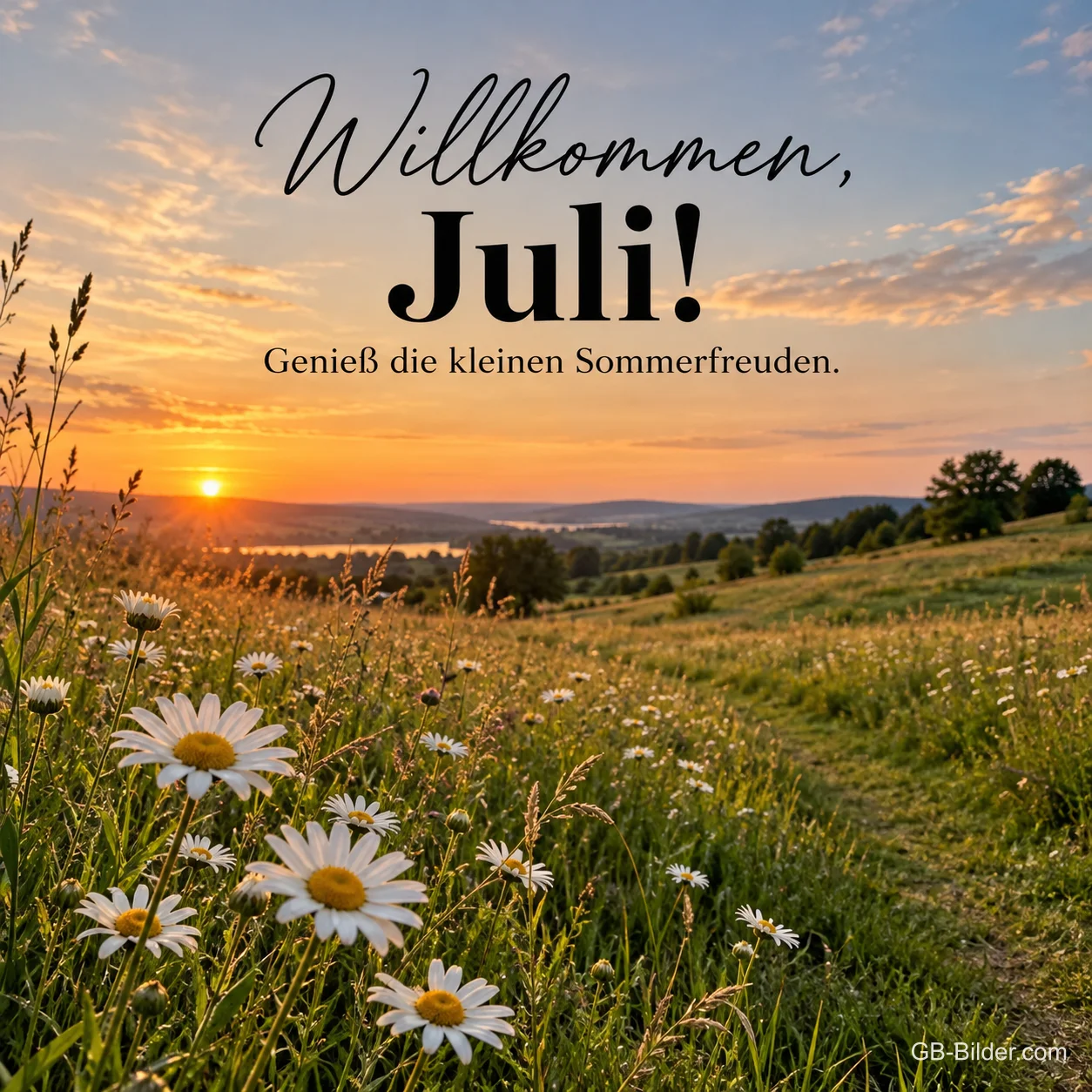 Margeritenwiese im Sonnenuntergang, Text: Willkommen, Juli! Genieß die kleinen Sommerfreuden. Margeritenwiese im Sonnenuntergang, Text: Willkommen, Juli! Genieß die kleinen Sommerfreuden.
