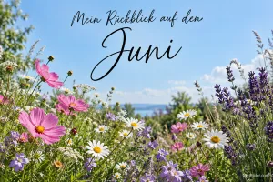 Schmuckkörbchen, Lavendel und Margeriten auf einer Wiese, Text: Mein Rückblick auf den – Juni