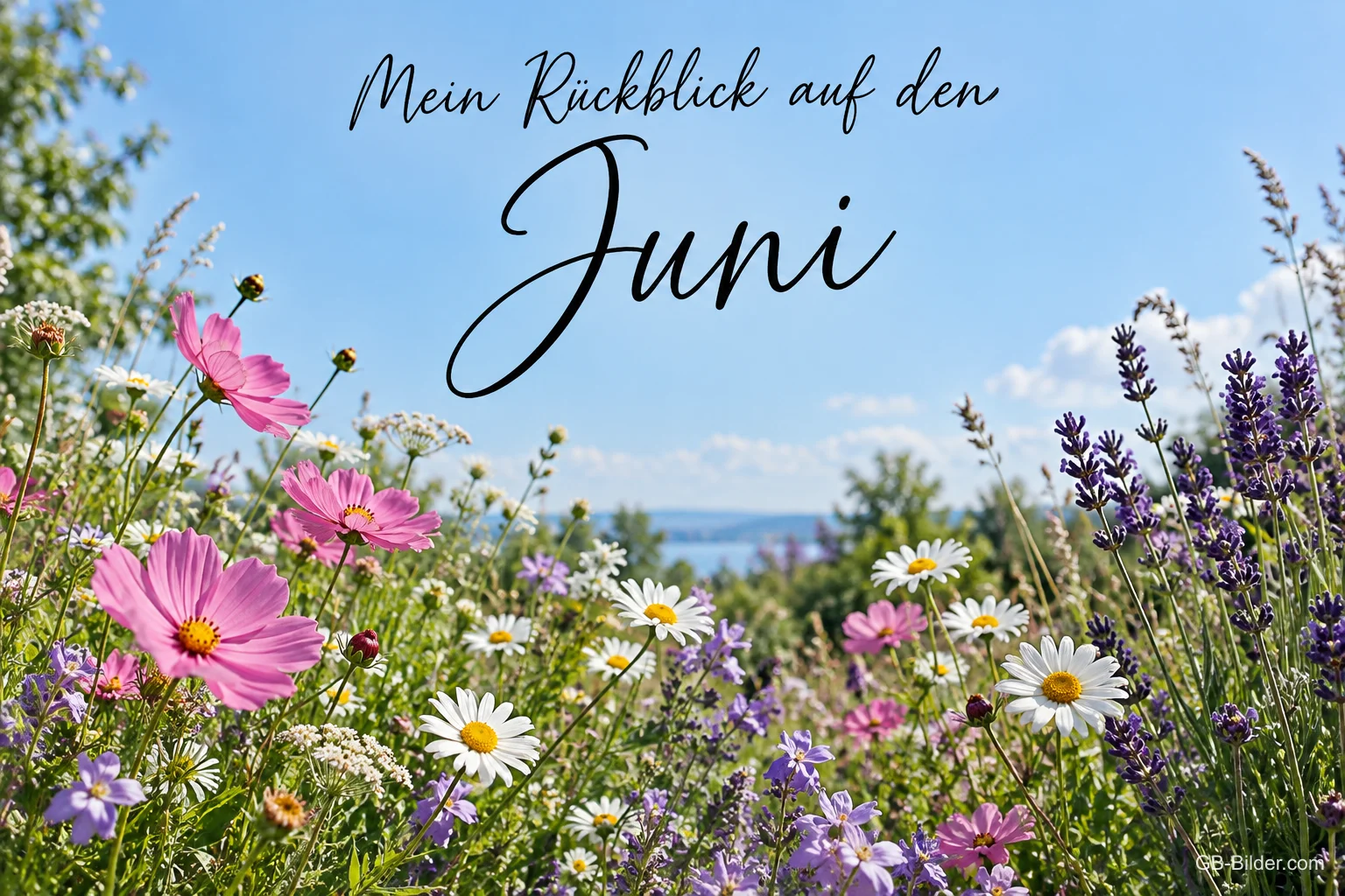 Schmuckkörbchen, Lavendel und Margeriten auf einer Wiese, Text: Mein Rückblick auf den – Juni