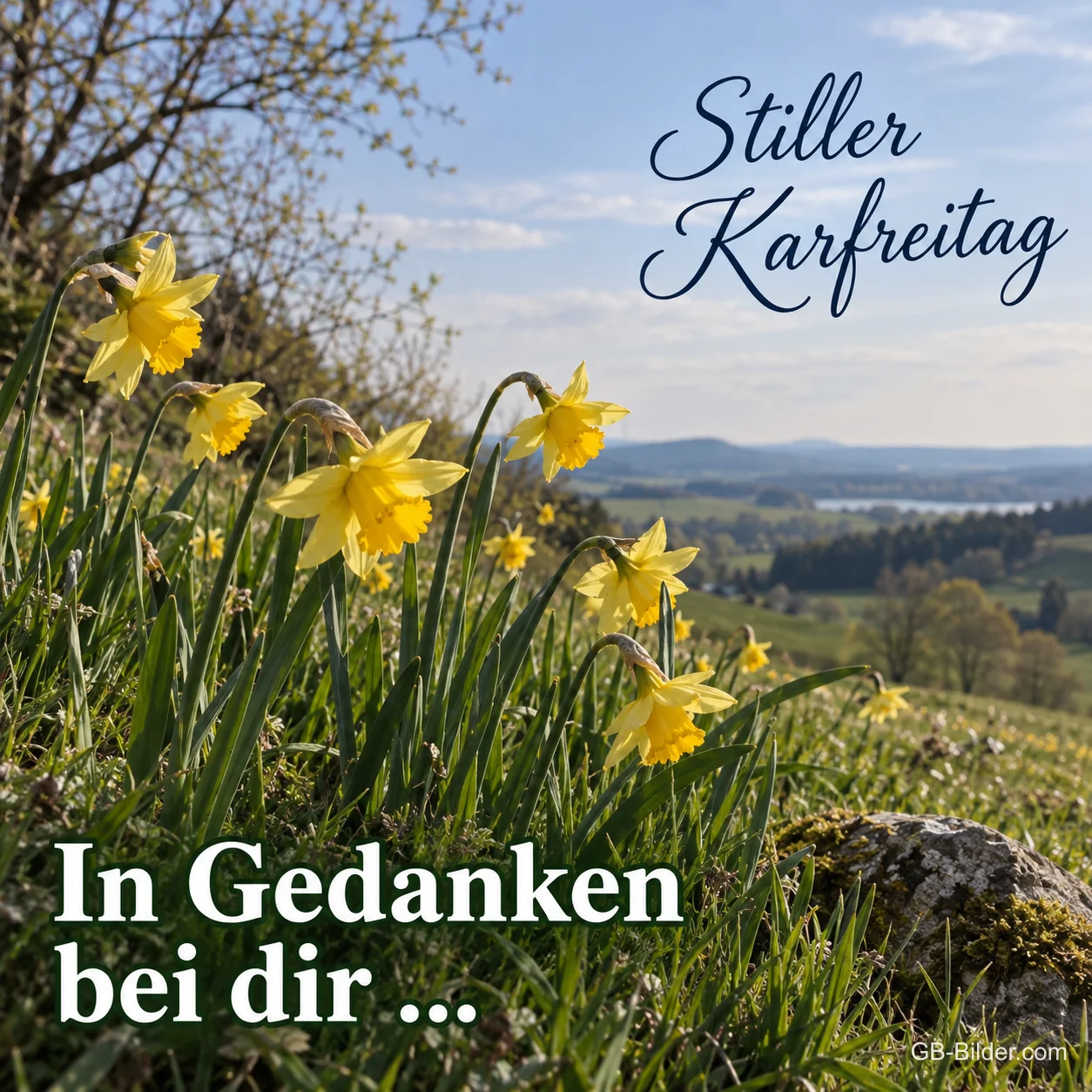 Osterglocken auf einer Wiese, Text: Stiller Karfreitag – In Gedanken bei dir Osterglocken auf einer Wiese, Text: Stiller Karfreitag – In Gedanken bei dir