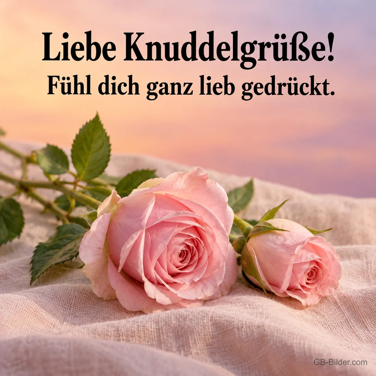 Zwei rosa Rosen auf einem Tuch, Text: Liebe Knuddelgrüße! Fühl dich ganz lieb gedrückt. Zwei rosa Rosen auf einem Tuch, Text: Liebe Knuddelgrüße! Fühl dich ganz lieb gedrückt.