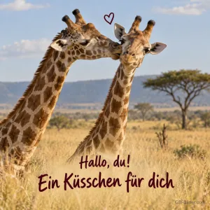Zwei Giraffen beim Küsschen in der Savanne, Text: Hallo, du! Ein Küsschen für dich