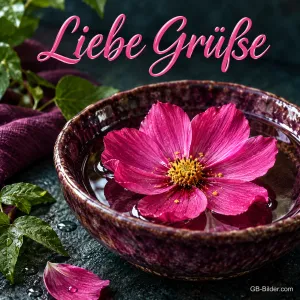 Pinke Blüte schwimmt in einer Wasserschale, Text: Liebe Grüße