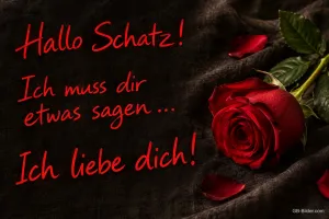 Rote Rose auf dunklem Stoff, Text: Hallo Schatz! – Ich muss dir etwas sagen … Ich liebe dich!