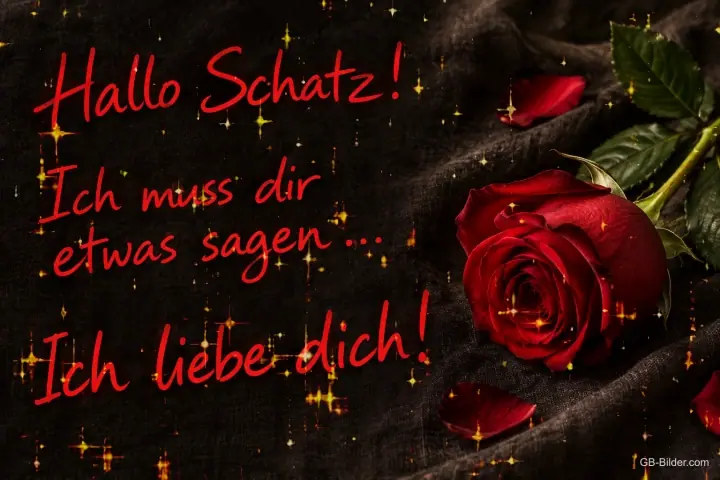Rote Rose auf dunklem Stoff, Text: Hallo Schatz! – Ich muss dir etwas sagen … Ich liebe dich!