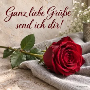 Rote Rose auf einem Leinentuch, Text: Ganz liebe Grüße – send ich dir!