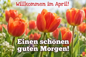 Rote Tulpen, Text: Willkommen im April