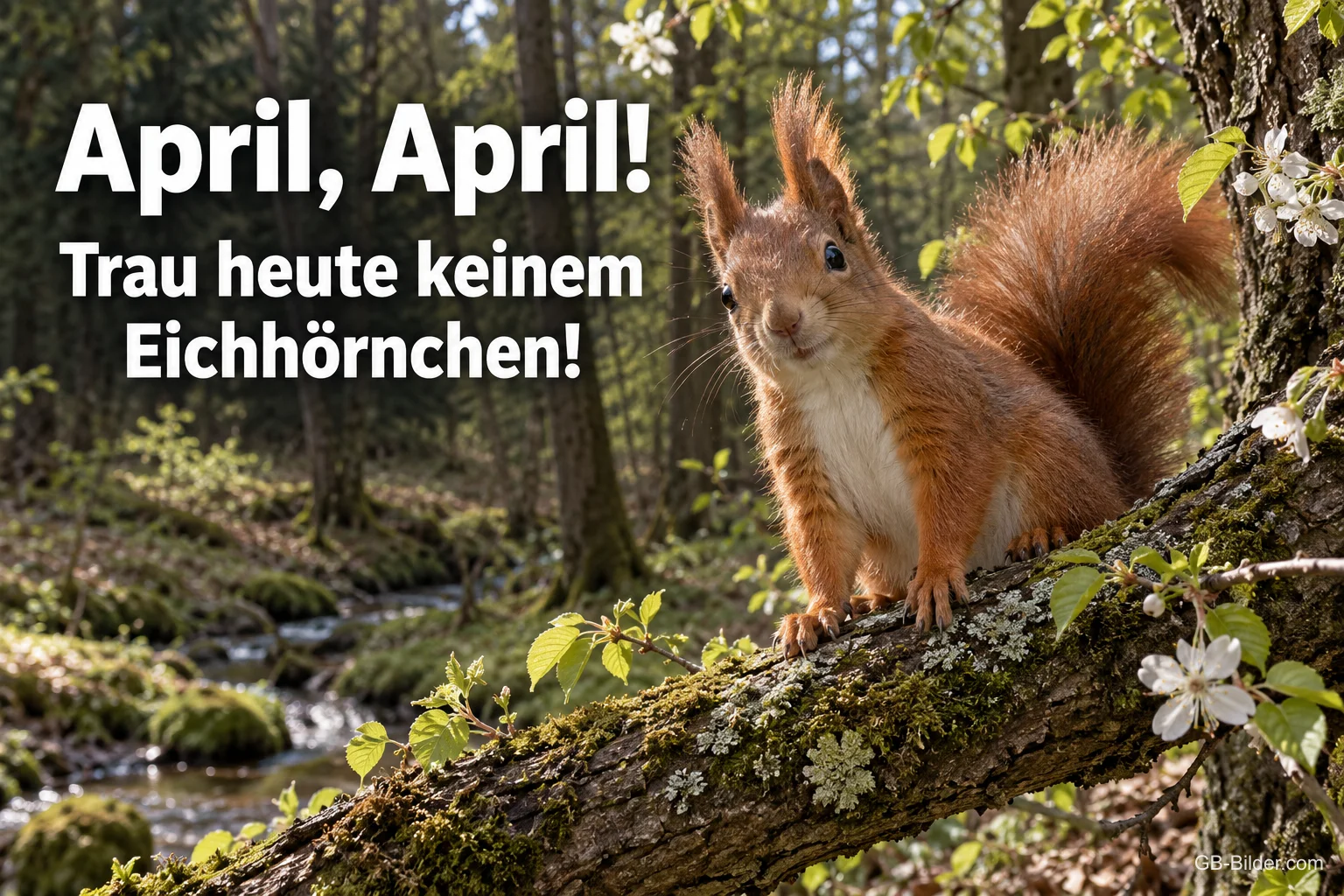 Eichhörnchen auf einem moosigen Ast im Frühlingswald, Text: April, April! Trau heute keinem Eichhörnchen!