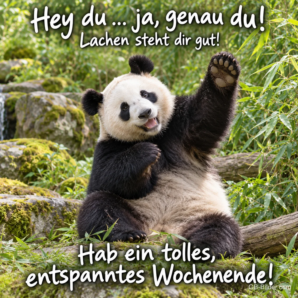 Panda winkt fröhlich auf einem Felsen im Bambuswald, Text: Hey du … ja, genau du! – Lachen steht dir gut! Hab ein tolles, entspanntes Wochenende! Panda winkt fröhlich auf einem Felsen im Bambuswald, Text: Hey du … ja, genau du! – Lachen steht dir gut! Hab ein tolles, entspanntes Wochenende!