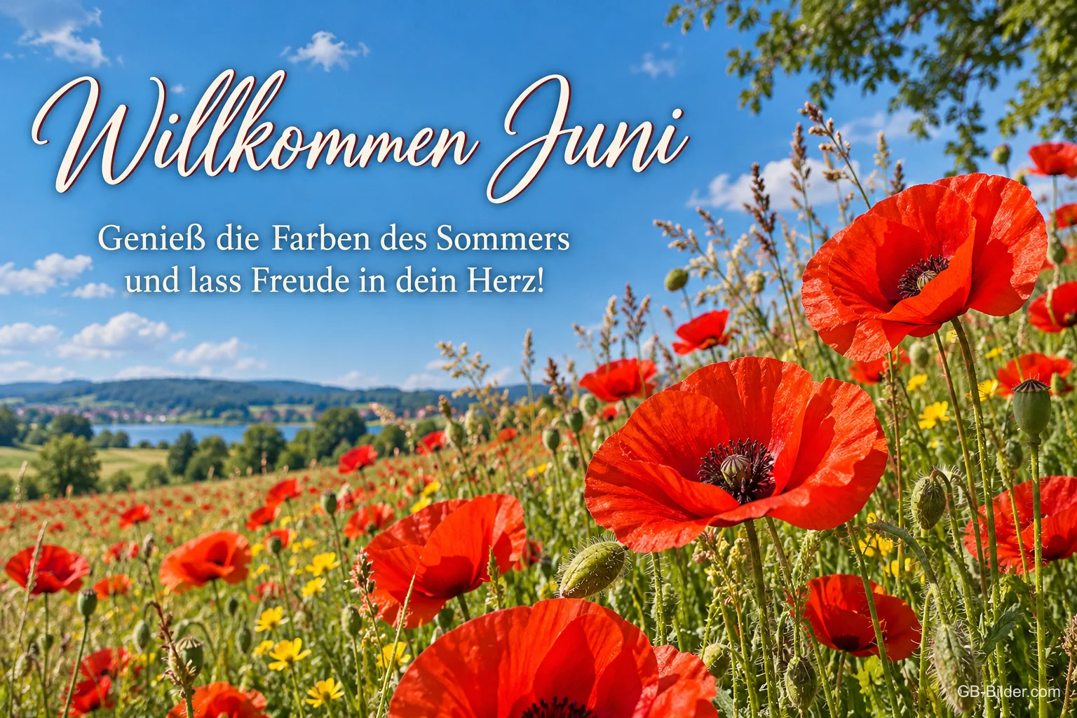 Mohnblumenfeld vor einem See unter blauem Himmel, Text: Willkommen Juni – Genieß die Farben des Sommers und lass Freude in dein Herz!