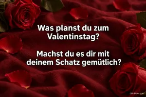 Rote Rosen auf rotem Samt, Text: Was planst du zum Valentinstag? – Machst du es dir mit deinem Schatz gemütlich?