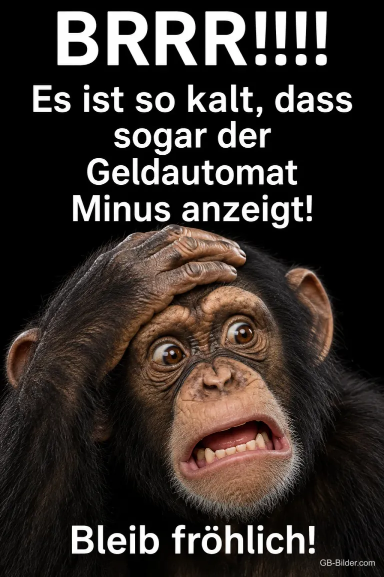 Schimpanse fasst sich erschrocken an den Kopf, Text: BRRR!!!! Es ist so kalt, dass sogar der Geldautomat Minus anzeigt! Bleib fröhlich!