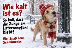 Hund mit Mütze und Schal klebt mit der Zunge an einem Laternenpfahl, Text: Wie kalt ist es? – So kalt, dass die Zunge am Laternenpfahl klebt! Viel Spaß beim Schmunzeln!