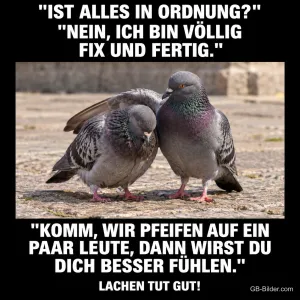 Zwei Tauben stehen dicht beieinander auf dem Pflaster, Text: „Ist alles in Ordnung?“ „Nein, ich bin völlig fix und fertig.“ „Komm, wir pfeifen auf ein paar Leute, dann wirst du dich besser fühlen.“ Lachen tut gut!