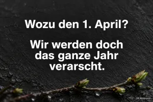 Weiße Schrift auf Schiefer, Spruch: Wozu den 1. April? Wir werden doch das ganze Jahr verarscht.