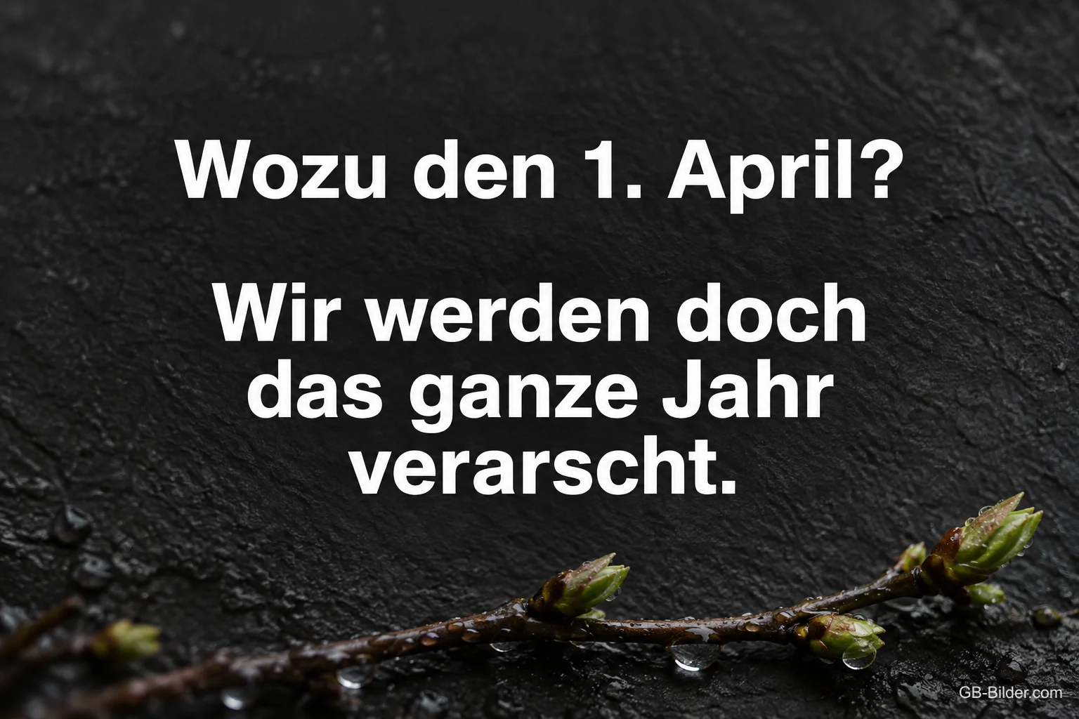 Weiße Schrift auf Schiefer, Spruch: Wozu den 1. April? Wir werden doch das ganze Jahr verarscht.