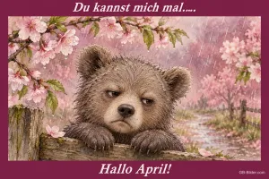 Missmutiges Bärenjunges am Zaun im Regen, Text: Du kannst mich mal... Hallo April!