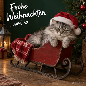 Grimmige Katze mit Weihnachtsmütze liegt in einem roten Schlitten, Text: Frohe Weihnachten … – … und so