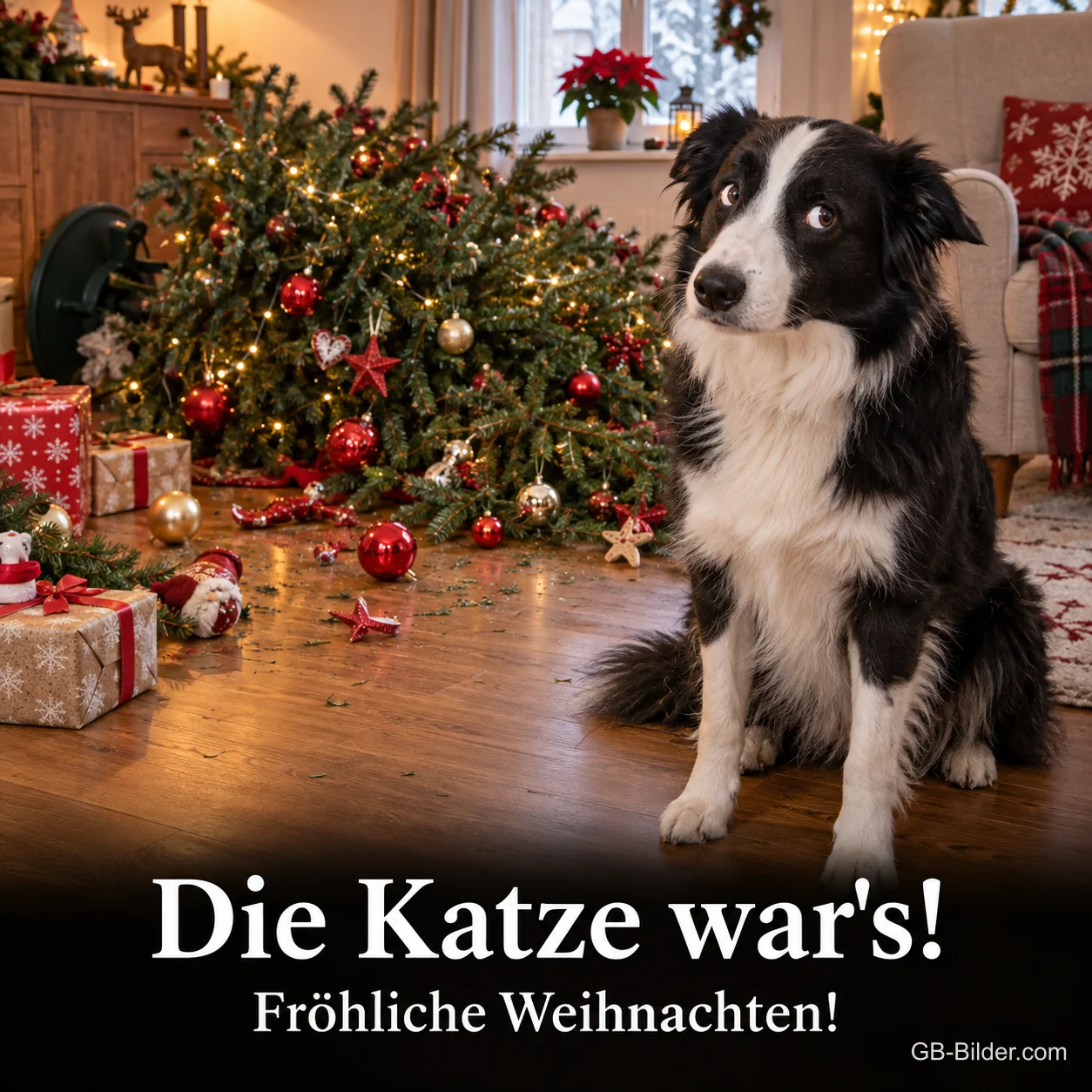 Border Collie sitzt unschuldig neben einem umgefallenen Weihnachtsbaum, Text: Die Katze war's! – Fröhliche Weihnachten! Border Collie sitzt unschuldig neben einem umgefallenen Weihnachtsbaum, Text: Die Katze war's! – Fröhliche Weihnachten!