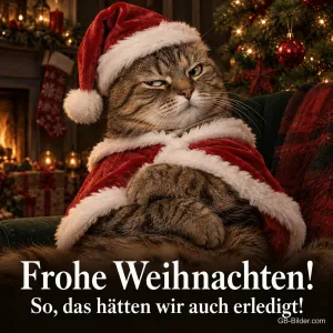 Getigerte Katze im Weihnachtsmantel schaut mürrisch vor dem Kamin, Text: Frohe Weihnachten! – So, das hätten wir auch erledigt!