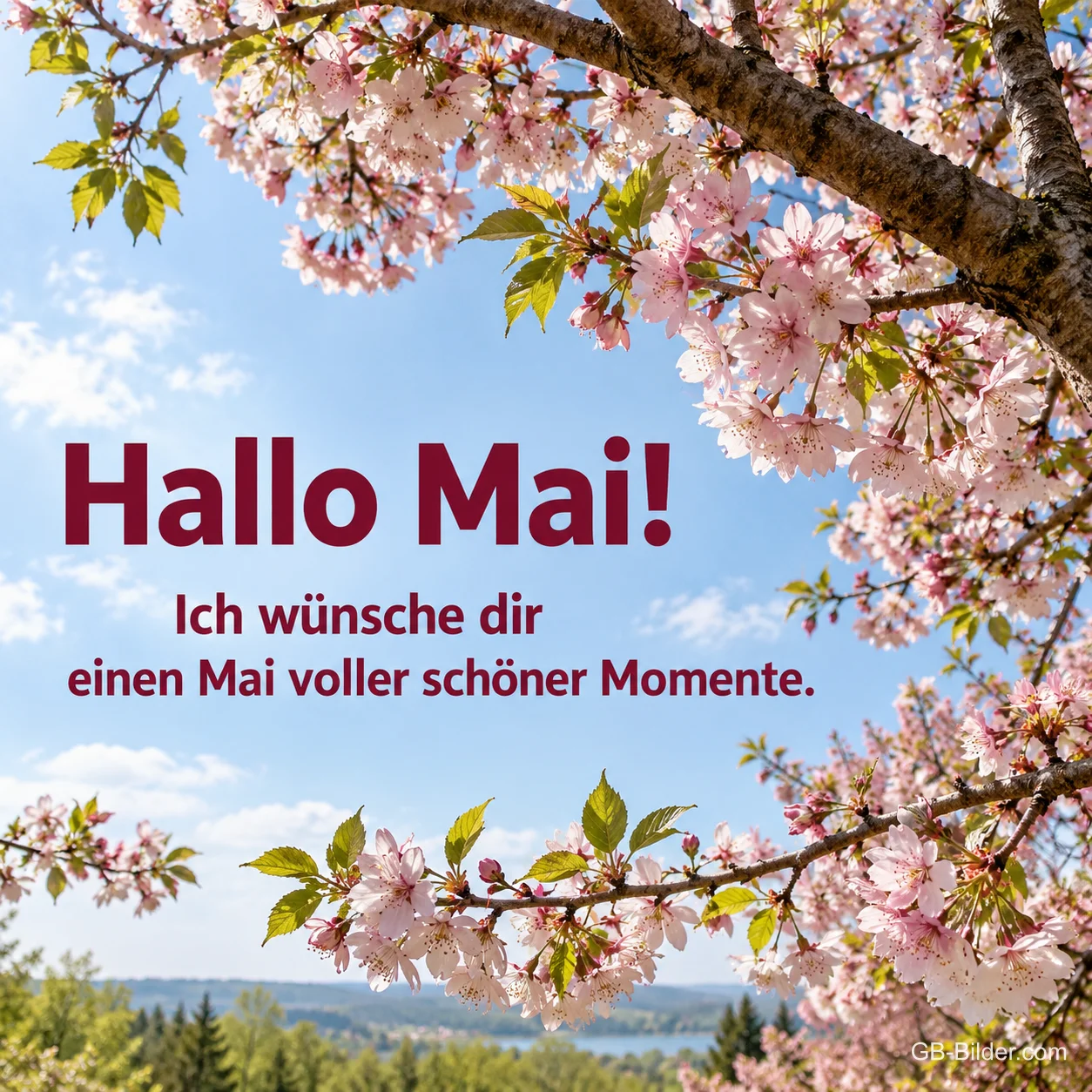 Kirschblüten über einer Landschaft, Text: Hallo Mai!