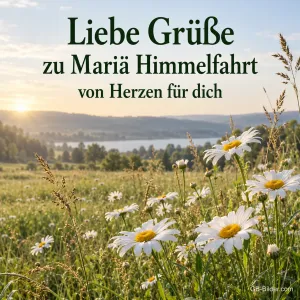 Margeritenwiese am See, Text: Liebe Grüße zu Mariä Himmelfahrt