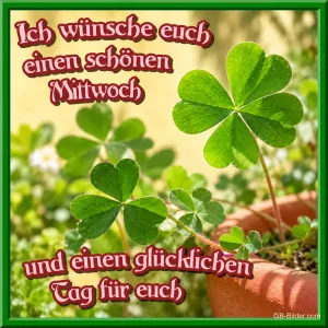 Grüner Klee im Blumentopf im Sonnenlicht, Text: Ich wünsche euch einen schönen Mittwoch und einen glücklichen Tag für euch