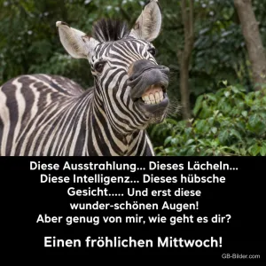 Zebra zeigt grinsend die Zähne, Text: Diese Ausstrahlung… Dieses Lächeln… Diese Intelligenz… Dieses hübsche Gesicht….. Und erst diese wunder-schönen Augen! Aber genug von mir, wie geht es dir? Einen fröhlichen Mittwoch!