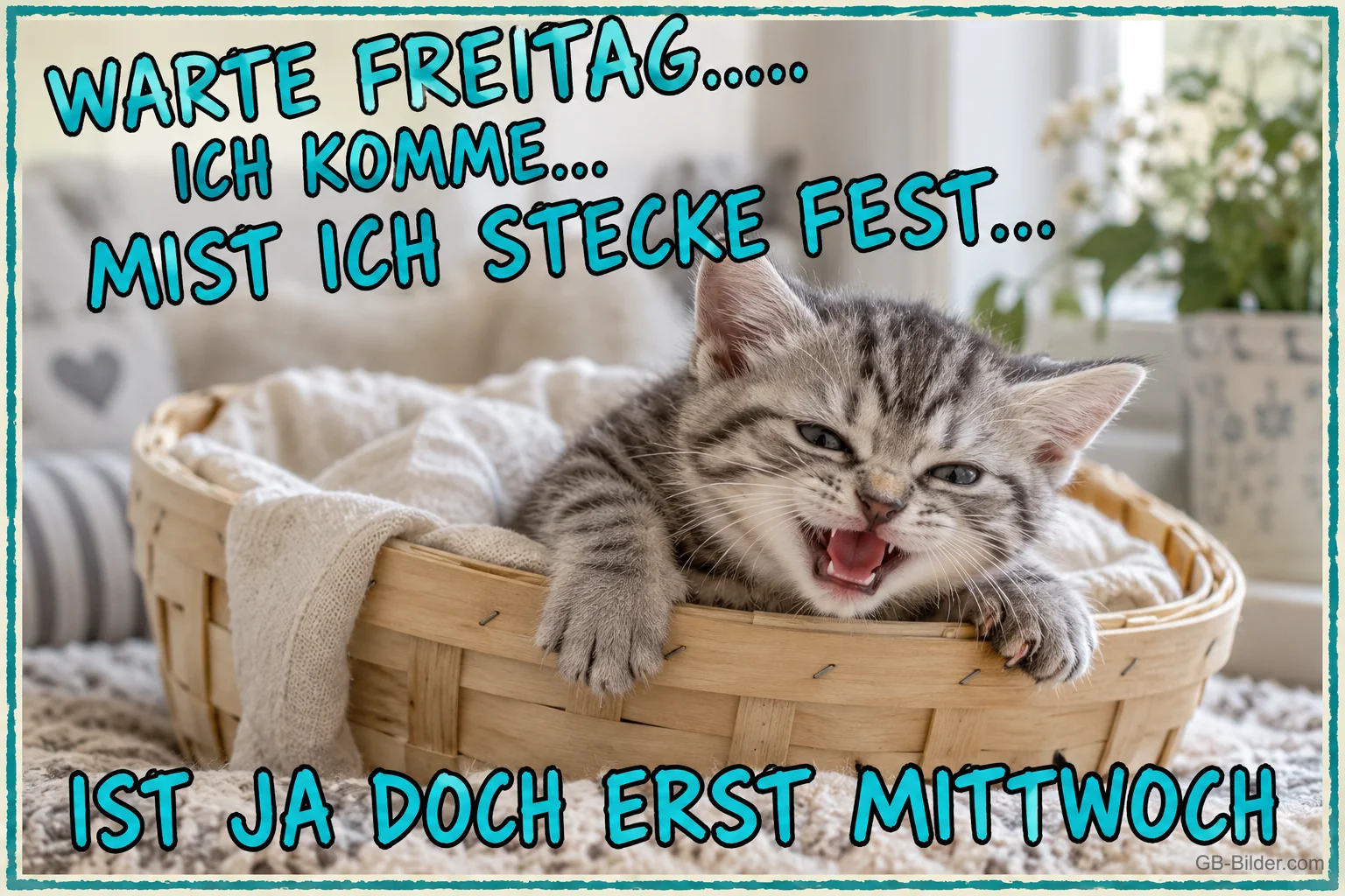 Kätzchen schreit aus einem Weidenkorb, Text: WARTE FREITAG….. ICH KOMME… MIST ICH STECKE FEST… IST JA DOCH ERST MITTWOCH Kätzchen schreit aus einem Weidenkorb, Text: WARTE FREITAG….. ICH KOMME… MIST ICH STECKE FEST… IST JA DOCH ERST MITTWOCH